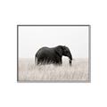 Picture of Out of Africa  _GroupedProduct_Rectangle_Landscape_Photography _GroupedProduct_Rectangle_Landscape_Canvas_Framed_