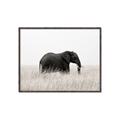 Picture of Out of Africa  _GroupedProduct_Rectangle_Landscape_Photography _GroupedProduct_Rectangle_Landscape_Canvas_Framed_