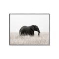 Picture of Out of Africa  _GroupedProduct_Rectangle_Landscape_Photography _GroupedProduct_Rectangle_Landscape_Canvas_Framed_