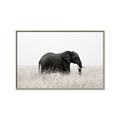 Picture of Out of Africa  _GroupedProduct_Rectangle_Landscape_Photography _GroupedProduct_Rectangle_Landscape_Canvas_Framed_