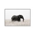 Picture of Out of Africa  _GroupedProduct_Rectangle_Landscape_Photography _GroupedProduct_Rectangle_Landscape_Canvas_Framed_