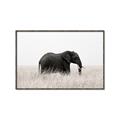 Picture of Out of Africa  _GroupedProduct_Rectangle_Landscape_Photography _GroupedProduct_Rectangle_Landscape_Canvas_Framed_
