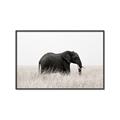 Picture of Out of Africa  _GroupedProduct_Rectangle_Landscape_Photography _GroupedProduct_Rectangle_Landscape_Canvas_Framed_
