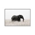 Picture of Out of Africa  _GroupedProduct_Rectangle_Landscape_Photography _GroupedProduct_Rectangle_Landscape_Canvas_Framed_