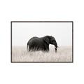 Picture of Out of Africa  _GroupedProduct_Rectangle_Landscape_Photography _GroupedProduct_Rectangle_Landscape_Canvas_Framed_