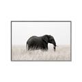 Picture of Out of Africa  _GroupedProduct_Rectangle_Landscape_Photography _GroupedProduct_Rectangle_Landscape_Canvas_Framed_