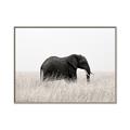 Picture of Out of Africa  _GroupedProduct_Rectangle_Landscape_Photography _GroupedProduct_Rectangle_Landscape_Canvas_Framed_