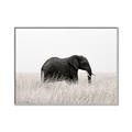 Picture of Out of Africa  _GroupedProduct_Rectangle_Landscape_Photography _GroupedProduct_Rectangle_Landscape_Canvas_Framed_