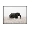 Picture of Out of Africa  _GroupedProduct_Rectangle_Landscape_Photography _GroupedProduct_Rectangle_Landscape_Canvas_Framed_