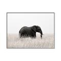 Picture of Out of Africa  _GroupedProduct_Rectangle_Landscape_Photography _GroupedProduct_Rectangle_Landscape_Canvas_Framed_