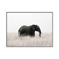 Picture of Out of Africa  _GroupedProduct_Rectangle_Landscape_Photography _GroupedProduct_Rectangle_Landscape_Canvas_Framed_