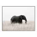 Picture of Out of Africa  _GroupedProduct_Rectangle_Landscape_Photography _GroupedProduct_Rectangle_Landscape_Canvas_Framed_