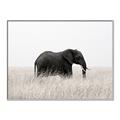 Picture of Out of Africa  _GroupedProduct_Rectangle_Landscape_Photography _GroupedProduct_Rectangle_Landscape_Canvas_Framed_