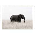 Picture of Out of Africa  _GroupedProduct_Rectangle_Landscape_Photography _GroupedProduct_Rectangle_Landscape_Canvas_Framed_