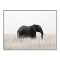 Picture of Out of Africa  _GroupedProduct_Rectangle_Landscape_Photography _GroupedProduct_Rectangle_Landscape_Canvas_Framed_