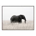 Picture of Out of Africa  _GroupedProduct_Rectangle_Landscape_Photography _GroupedProduct_Rectangle_Landscape_Canvas_Framed_