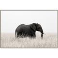 Picture of Out of Africa  _GroupedProduct_Rectangle_Landscape_Photography _GroupedProduct_Rectangle_Landscape_Canvas_Framed_