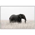 Picture of Out of Africa  _GroupedProduct_Rectangle_Landscape_Photography _GroupedProduct_Rectangle_Landscape_Canvas_Framed_