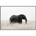 Picture of Out of Africa  _GroupedProduct_Rectangle_Landscape_Photography _GroupedProduct_Rectangle_Landscape_Canvas_Framed_