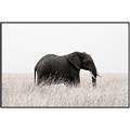 Picture of Out of Africa  _GroupedProduct_Rectangle_Landscape_Photography _GroupedProduct_Rectangle_Landscape_Canvas_Framed_