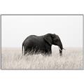 Picture of Out of Africa  _GroupedProduct_Rectangle_Landscape_Photography _GroupedProduct_Rectangle_Landscape_Canvas_Framed_