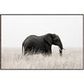 Picture of Out of Africa  _GroupedProduct_Rectangle_Landscape_Photography _GroupedProduct_Rectangle_Landscape_Canvas_Framed_
