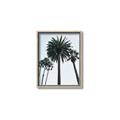 Picture of Palm Trees  _GroupedProduct_Rectangle_Portrait_Photography _GroupedProduct_Rectangle_Portrait_Canvas_Framed_