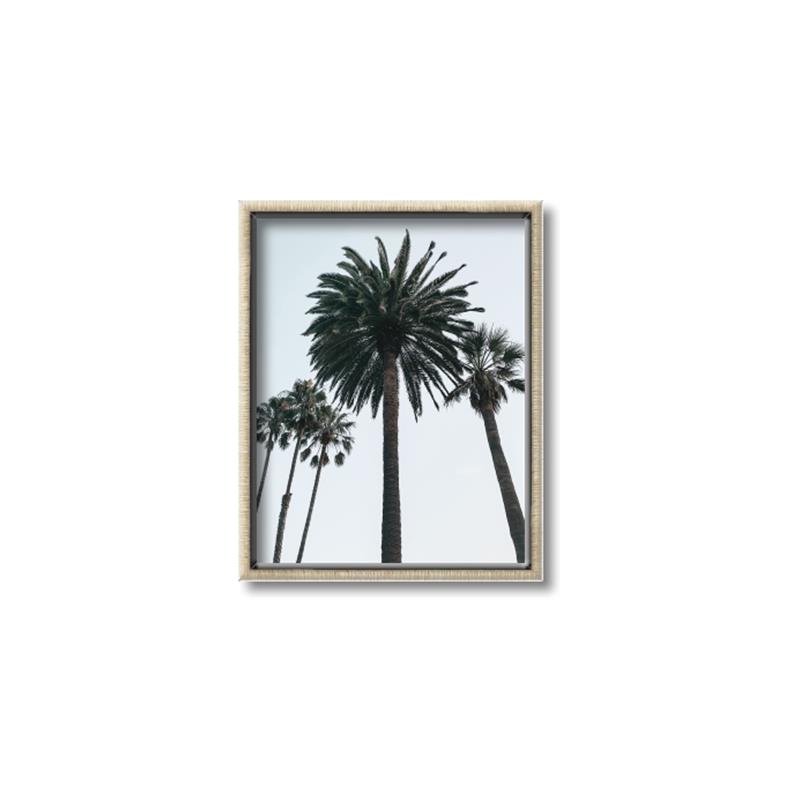 Picture of Palm Trees  _GroupedProduct_Rectangle_Portrait_Photography _GroupedProduct_Rectangle_Portrait_Canvas_Framed_