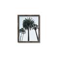 Picture of Palm Trees  _GroupedProduct_Rectangle_Portrait_Photography _GroupedProduct_Rectangle_Portrait_Canvas_Framed_