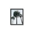 Picture of Palm Trees  _GroupedProduct_Rectangle_Portrait_Photography _GroupedProduct_Rectangle_Portrait_Canvas_Framed_