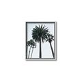 Picture of Palm Trees  _GroupedProduct_Rectangle_Portrait_Photography _GroupedProduct_Rectangle_Portrait_Canvas_Framed_