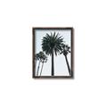 Picture of Palm Trees  _GroupedProduct_Rectangle_Portrait_Photography _GroupedProduct_Rectangle_Portrait_Canvas_Framed_