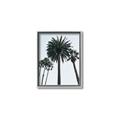 Picture of Palm Trees  _GroupedProduct_Rectangle_Portrait_Photography _GroupedProduct_Rectangle_Portrait_Canvas_Framed_
