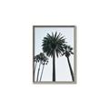 Picture of Palm Trees  _GroupedProduct_Rectangle_Portrait_Photography _GroupedProduct_Rectangle_Portrait_Canvas_Framed_