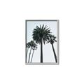 Picture of Palm Trees  _GroupedProduct_Rectangle_Portrait_Photography _GroupedProduct_Rectangle_Portrait_Canvas_Framed_
