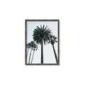 Picture of Palm Trees  _GroupedProduct_Rectangle_Portrait_Photography _GroupedProduct_Rectangle_Portrait_Canvas_Framed_