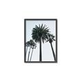 Picture of Palm Trees  _GroupedProduct_Rectangle_Portrait_Photography _GroupedProduct_Rectangle_Portrait_Canvas_Framed_