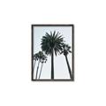 Picture of Palm Trees  _GroupedProduct_Rectangle_Portrait_Photography _GroupedProduct_Rectangle_Portrait_Canvas_Framed_