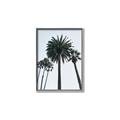 Picture of Palm Trees  _GroupedProduct_Rectangle_Portrait_Photography _GroupedProduct_Rectangle_Portrait_Canvas_Framed_