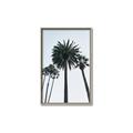 Picture of Palm Trees  _GroupedProduct_Rectangle_Portrait_Photography _GroupedProduct_Rectangle_Portrait_Canvas_Framed_