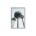Picture of Palm Trees  _GroupedProduct_Rectangle_Portrait_Photography _GroupedProduct_Rectangle_Portrait_Canvas_Framed_