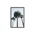 Picture of Palm Trees  _GroupedProduct_Rectangle_Portrait_Photography _GroupedProduct_Rectangle_Portrait_Canvas_Framed_