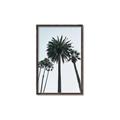 Picture of Palm Trees  _GroupedProduct_Rectangle_Portrait_Photography _GroupedProduct_Rectangle_Portrait_Canvas_Framed_