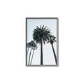 Picture of Palm Trees  _GroupedProduct_Rectangle_Portrait_Photography _GroupedProduct_Rectangle_Portrait_Canvas_Framed_