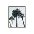 Picture of Palm Trees  _GroupedProduct_Rectangle_Portrait_Photography _GroupedProduct_Rectangle_Portrait_Canvas_Framed_
