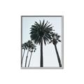 Picture of Palm Trees  _GroupedProduct_Rectangle_Portrait_Photography _GroupedProduct_Rectangle_Portrait_Canvas_Framed_
