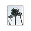 Picture of Palm Trees  _GroupedProduct_Rectangle_Portrait_Photography _GroupedProduct_Rectangle_Portrait_Canvas_Framed_