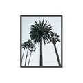 Picture of Palm Trees  _GroupedProduct_Rectangle_Portrait_Photography _GroupedProduct_Rectangle_Portrait_Canvas_Framed_