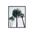 Picture of Palm Trees  _GroupedProduct_Rectangle_Portrait_Photography _GroupedProduct_Rectangle_Portrait_Canvas_Framed_
