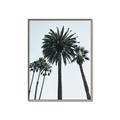 Picture of Palm Trees  _GroupedProduct_Rectangle_Portrait_Photography _GroupedProduct_Rectangle_Portrait_Canvas_Framed_